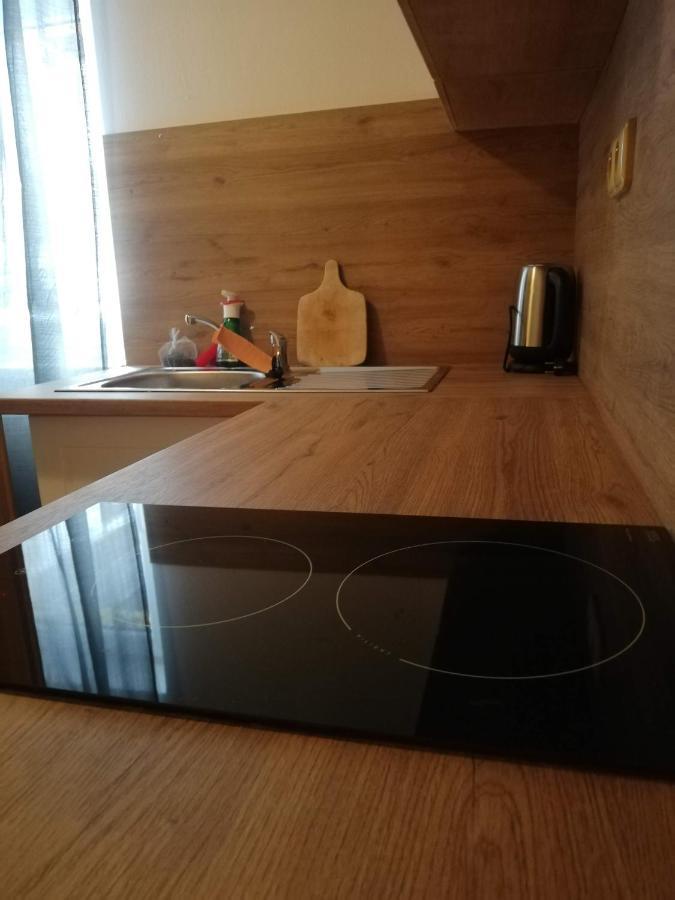 Penzion Pod Svahem Železná Ruda Εξωτερικό φωτογραφία
